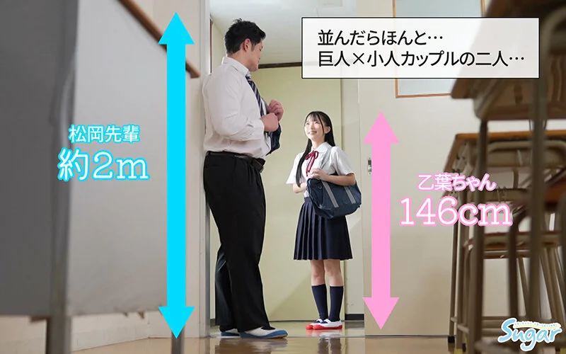 146cm×約2mの超体格差